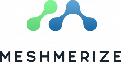 Logo: Meshmerize